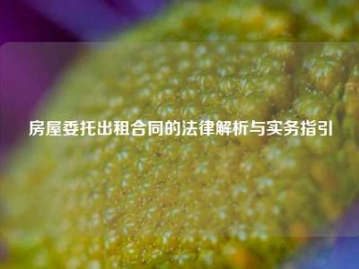 房屋委托出租合同的法律解析与实务指引