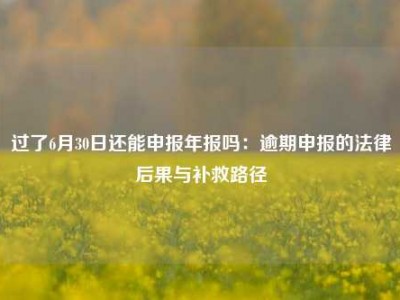 过了6月30日还能申报年报吗：逾期申报的法律后果与补救路径