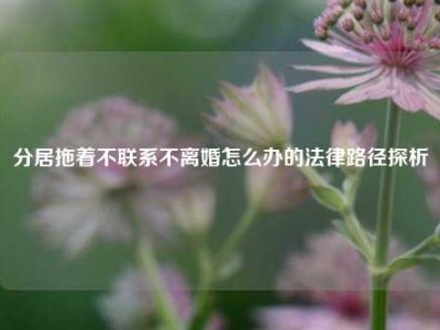 分居拖着不联系不离婚怎么办的法律路径探析