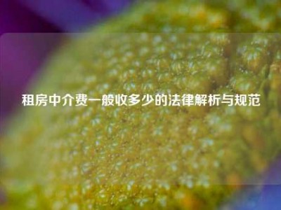租房中介费一般收多少的法律解析与规范