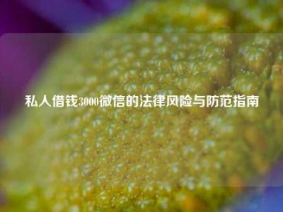 私人借钱3000微信的法律风险与防范指南