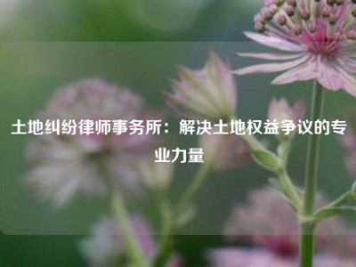 土地纠纷律师事务所：解决土地权益争议的专业力量