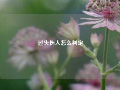 过失伤人怎么判定
