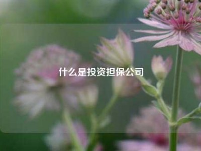 什么是投资担保公司