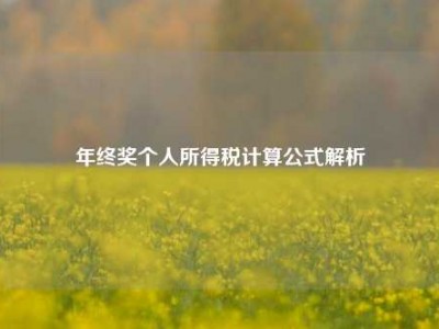 年终奖个人所得税计算公式解析