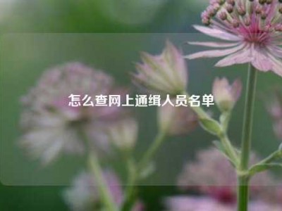 怎么查网上通缉人员名单