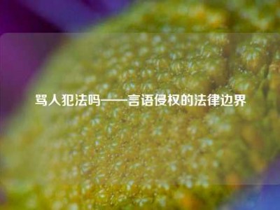 骂人犯法吗——言语侵权的法律边界