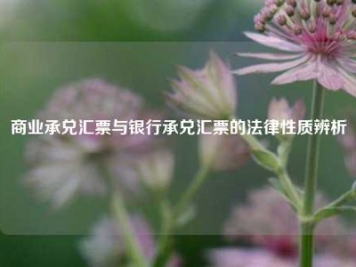 商业承兑汇票与银行承兑汇票的法律性质辨析