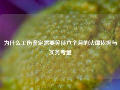 为什么工伤鉴定需要等待六个月的法律依据与实务考量