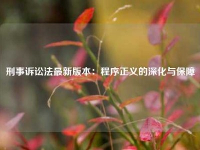 刑事诉讼法最新版本：程序正义的深化与保障