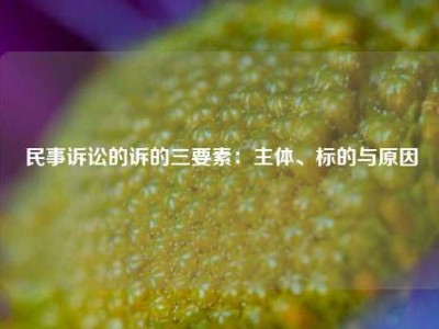 民事诉讼的诉的三要素：主体、标的与原因