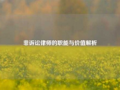 非诉讼律师的职能与价值解析