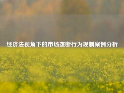 经济法视角下的市场垄断行为规制案例分析