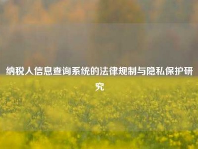 纳税人信息查询系统的法律规制与隐私保护研究