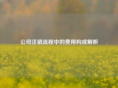 公司注销流程中的费用构成解析
