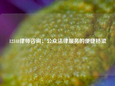 12348律师咨询：公众法律服务的便捷桥梁