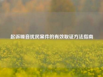 起诉噪音扰民案件的有效取证方法指南