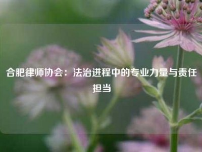 合肥律师协会：法治进程中的专业力量与责任担当