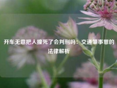 开车无意把人撞死了会判刑吗：交通肇事罪的法律解析