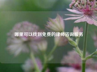 哪里可以找到免费的律师咨询服务