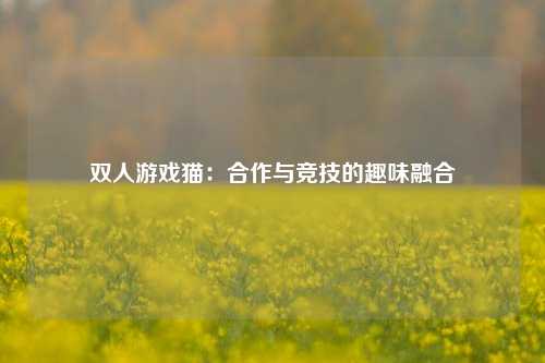 双人游戏猫：合作与竞技的趣味融合