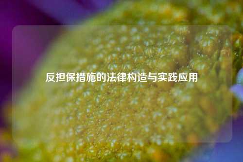 反担保措施的法律构造与实践应用
