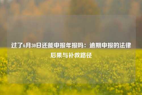 过了6月30日还能申报年报吗：逾期申报的法律后果与补救路径