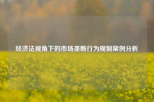 经济法视角下的市场垄断行为规制案例分析