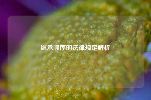 继承顺序的法律规定解析