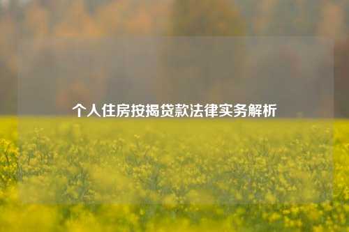 个人住房按揭贷款法律实务解析