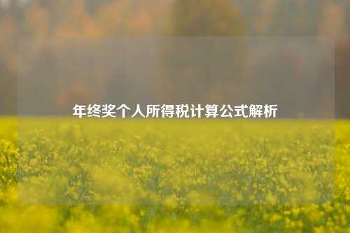 年终奖个人所得税计算公式解析