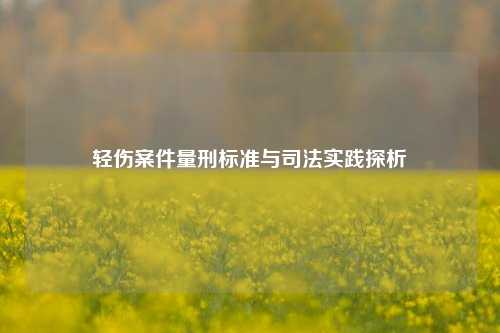 轻伤案件量刑标准与司法实践探析