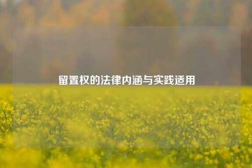 留置权的法律内涵与实践适用